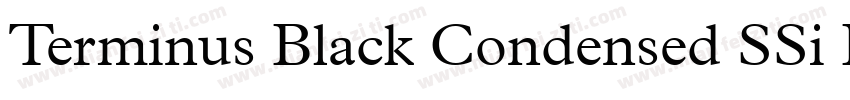 Terminus Black Condensed SSi Black字体转换